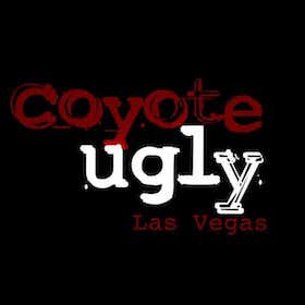 coyote-ugly-las-vegas